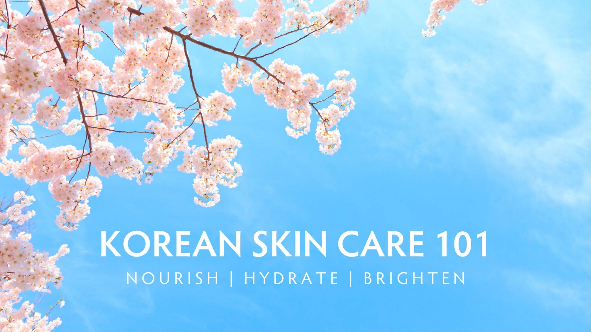 Korean Skin Care 101: Nourish | Hydrate | Brighten