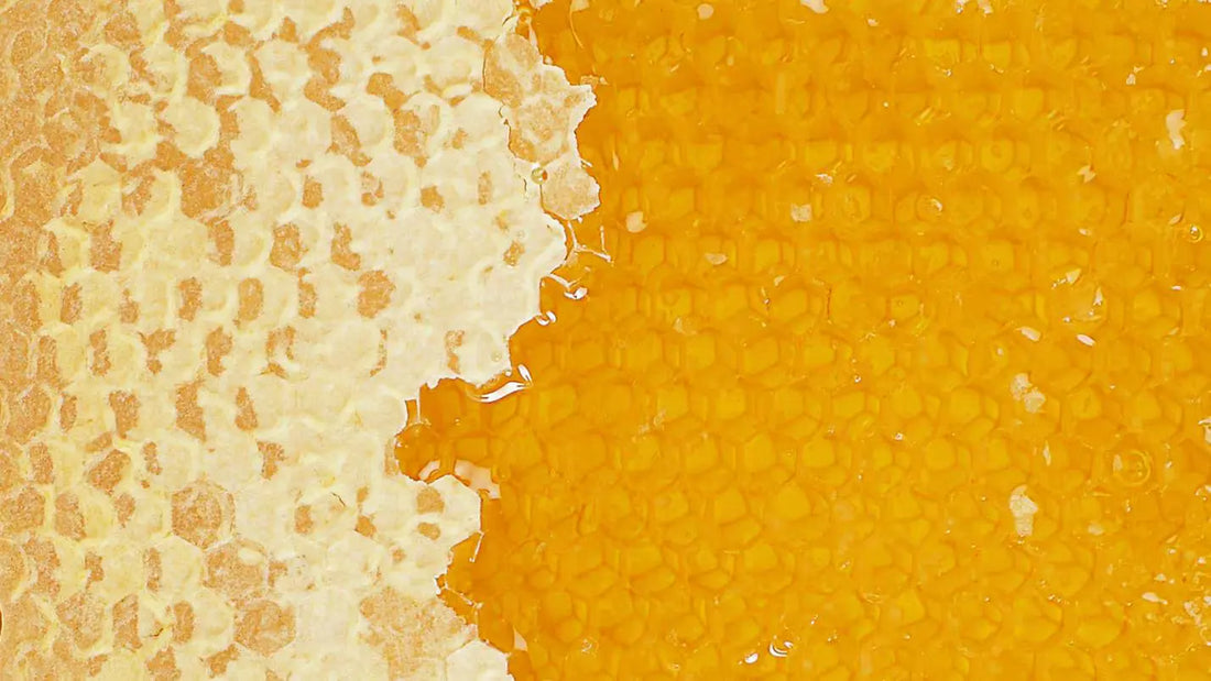 Ingredient Spotlight: Propolis Extract