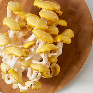 Mushroom